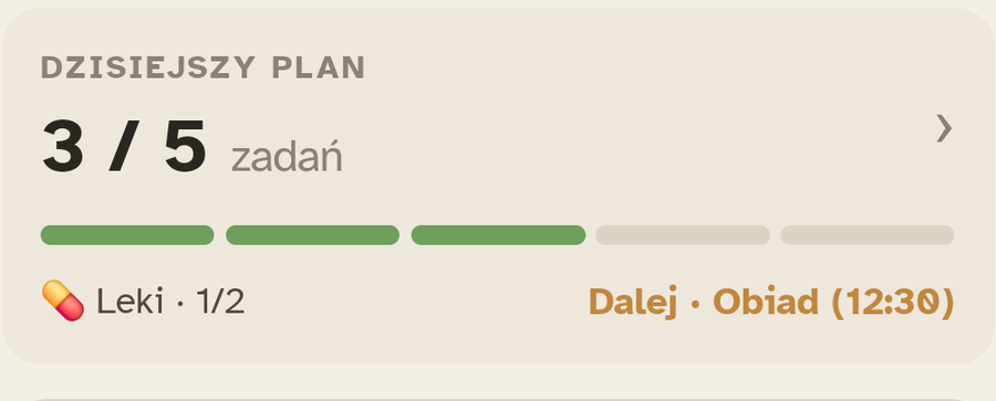 Blok „Plan dnia” w Ally Companion: postęp zadań z całego dnia.
