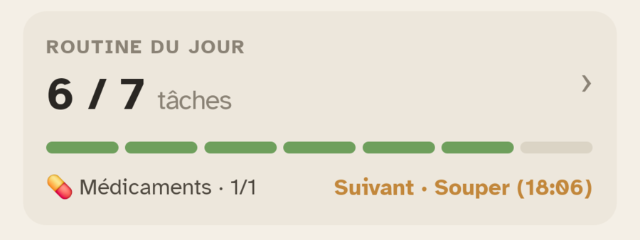 Le bloc « Routine du jour » d'Ally Companion : la progression des tâches de la journée.