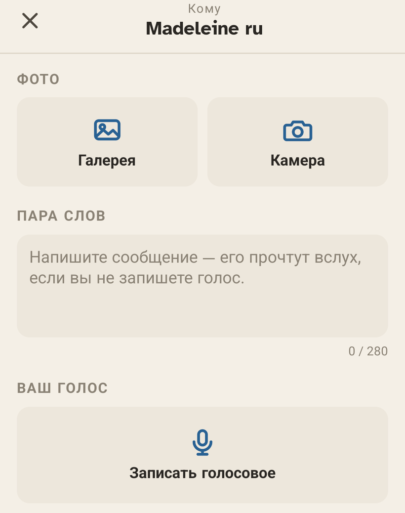 Экран отправки в Ally Companion: выбор фотографии, поле сообщения и кнопка для записи голоса.